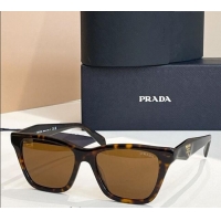 Low Cost Prada Sunglasses SRCC07 Brown 2025
