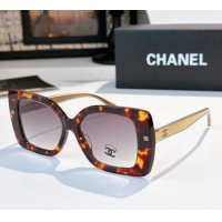 Super Quality Chanel Sunglasses CH9173B 2025