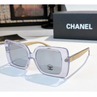 Most Popular Chanel Sunglasses CH9176B 2025