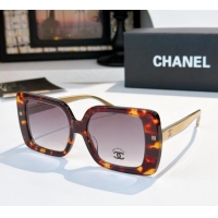 Buy Fashionable Chanel Sunglasses CH9176B 2025