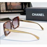 Buy Fashionable Chanel Sunglasses CH9176B 2025