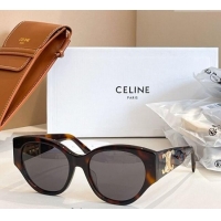 Spot Bulk Celine Sunglasses CL40328U 2025