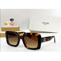 Buy Discount Celine Sunglasses with Strass CL40304 2025