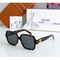Best Price Celine Sunglasses CL40316U 2025