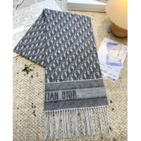 Modern Classic Dior Oblique Cashmere Scarf D110511 Grey 2025