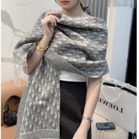 Modern Classic Dior Oblique Cashmere Scarf D110511 Grey 2025