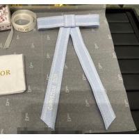 Particularly Recommended Dior Twist Bow Hair Clip 0723 Blue 2025