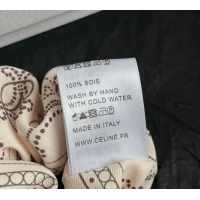 Top Grade Celine Printed Hairring 0724 Beige 2025