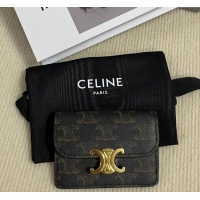 Discount Celine Card Holder Wallet with Flap in Triomphe Canvas 10D582 Brown 2024