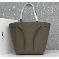 Top Grade Celine Cabas Phantom Small Tote Bag in Supple Grained Calfskin 180544 Sage Grey 2024