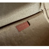 New Cheap Celine Clara Bucket bag in Triomphe Canvas and Calfskin 116882 Brown 2024