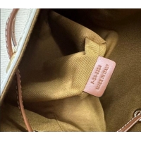 Good Quality Celine Micro Sailor Bucket bag in Triomphe Canvas and Calfskin 10M742 White 2024