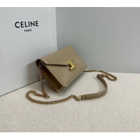 New Cheap Celine Wallet on Chain Mini Bag Triomphe in Shiny Calfskin 10L033 Grey 2024