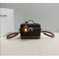 Modern Discount Celine Vanity Bag in Triomphe Canvas Calfskin 119463 Brown 2025