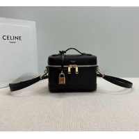 Buy Classic Celine Vanity Bag in Natural Calfskin 119463 Black 2025