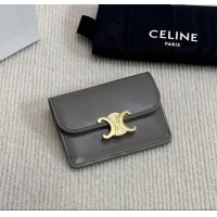 Good Looking Celine Triomphe Card Case Wallet 10L583 Grey 2025