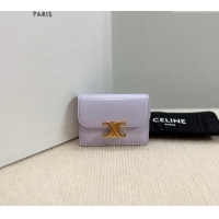 Modern Classic Celine Triomphe Card Case Wallet 10L583 Purple 2025