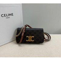 Modern Classic Celine Multipochette Mini Bag in Triomphe Canvas and Calfskin 10L972 Brown 2025