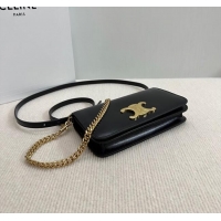 Classic Cheap Celine Multipochette Mini Bag in Shiny Calfskin 10L973 Black 2025