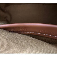 Discount Celine Oval Bag in Triomphe Canvas and Calfskin 122262 Brown 2025