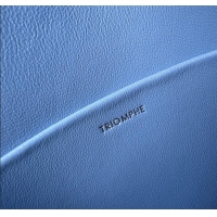 Spot Bulk Celine Teen Triomphe Bag in Shiny Calfskin 188423 Aqua Blue 2025