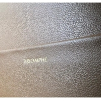 Top Grade Celine Classique Triomphe Bag in Shiny Calfskin 187363 Khaki Brown 2025