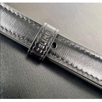 Discount Celine Teen Triomphe Bag in Shiny Calfskin 188423 Black/Silver 2025