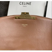 Top Grade Celine Teen Triomphe Bag in Triomphe Embroidery Canvas & Calfskin 188423 Brown/Red 2025