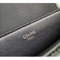 Top Quality Celine Medium Besace Triomphe Shoulder Bag in Supple Calfskin Leather 114453 Black/Silver 2025