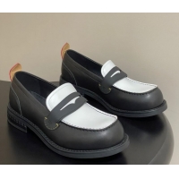 Perfect Louis Vuitton LV Bubble Loafers in Calf Leather Black/White 1AIJHI 1022073