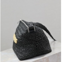 Famous Brand Saint Laurent Le Rafia Crossbody Bag 667490 Black 2025