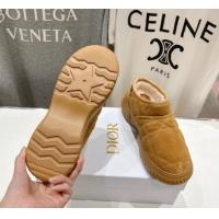 Durable Dior Frost Low Ankle Boots in Cannage Suede and Wool Camel 1029007