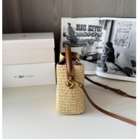 Famous Brand Saint Laurent LE 37 Mini Bucket Bag in Raffia 765870 Beige 2025 Top Quality