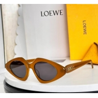 Lower Price Loewe Sunglasses LW40185I Brown/Grey 2025
