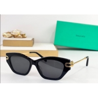 Famous Brand Tiffany & Co Sunglasses TF4231U 2025