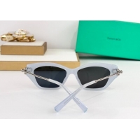 Good Product Tiffany & Co Sunglasses TF4231U 2025