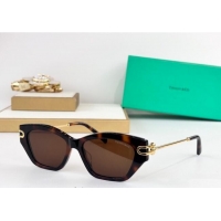Top Grade Tiffany & Co Sunglasses TF4231U 2025
