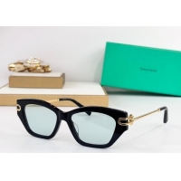 Big Discount Tiffany & Co Sunglasses TF4231U 2025