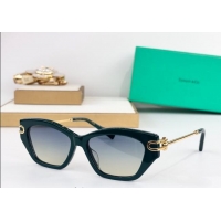Big Discount Tiffany & Co Sunglasses TF4231U 2025