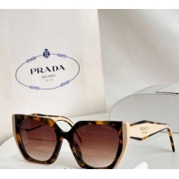 Unique Grade Prada Sunglasses SPR15W Brown/Nude 2025