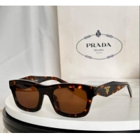 Top Design Prada Sunglasses PRC06S Brown 2025