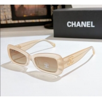 Reasonable Price Chanel Sunglasses CH9184 Nude 2025