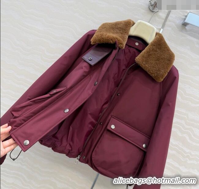 Promotional Loewe Down Jacket with Wool Neck LW122701 Red 2025