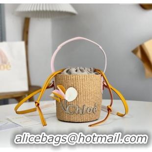 Inexpensive Chloe Small Woody Basket in Natural Fibers C0501 Beige 2024