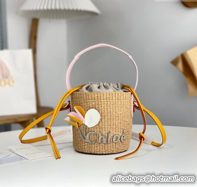 Inexpensive Chloe Small Woody Basket in Natural Fibers C0501 Beige 2024