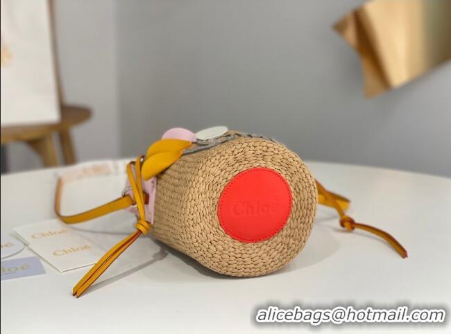 Inexpensive Chloe Small Woody Basket in Natural Fibers C0501 Beige 2024