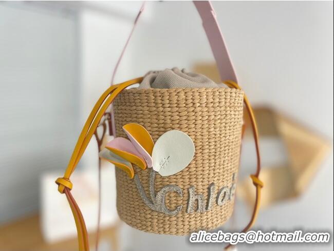 Inexpensive Chloe Small Woody Basket in Natural Fibers C0501 Beige 2024