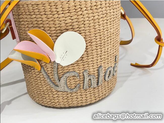 Inexpensive Chloe Small Woody Basket in Natural Fibers C0501 Beige 2024