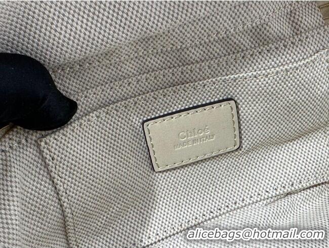 Promotional Chloe Small Camera Bag in Shiny Leather W0653 Beige 2024