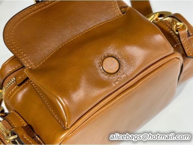 Buy Discount Chloe Small Camera Bag in Shiny Leather W0653 Brown 2024